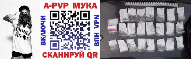 KRAKEN Губкин Alfa_PVP СК КРИС