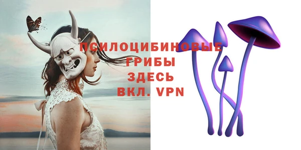 тгк Михайловск