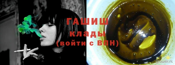 спиды Горняк