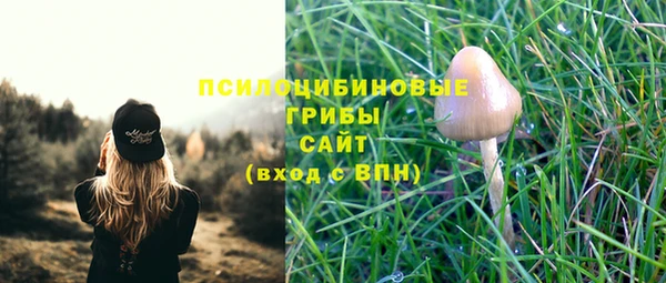 индика Горно-Алтайск