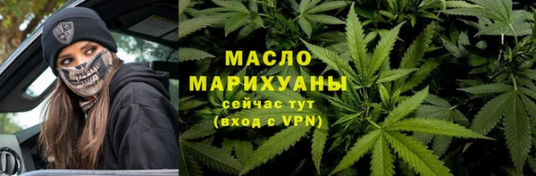 индика Мегион