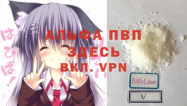 индика Горно-Алтайск