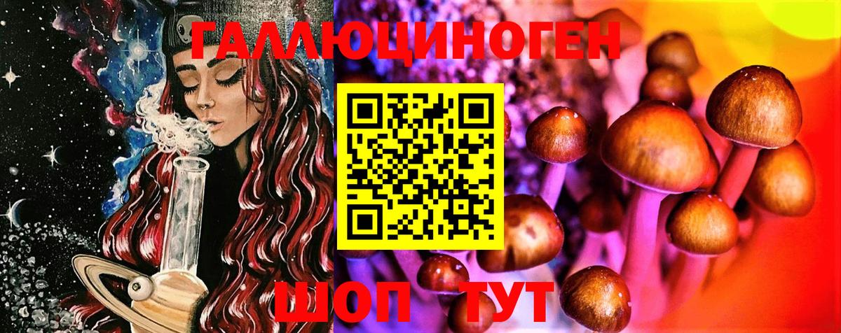 Галлюциногенные грибы Psilocybine cubensis  Вход с VPN  Губкин 