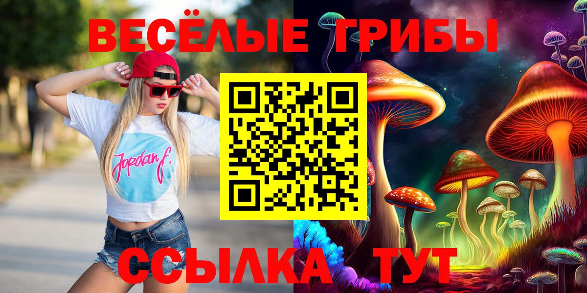 Псилоцибиновые грибы GOLDEN TEACHER  Губкин 