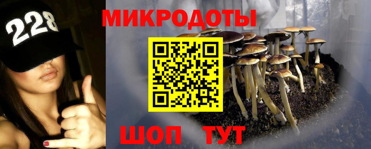 Псилоцибиновые грибы ЛСД Губкин