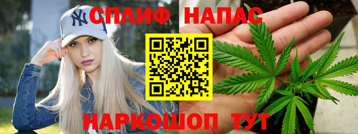 Бошки Шишки ГИДРОПОН Губкин